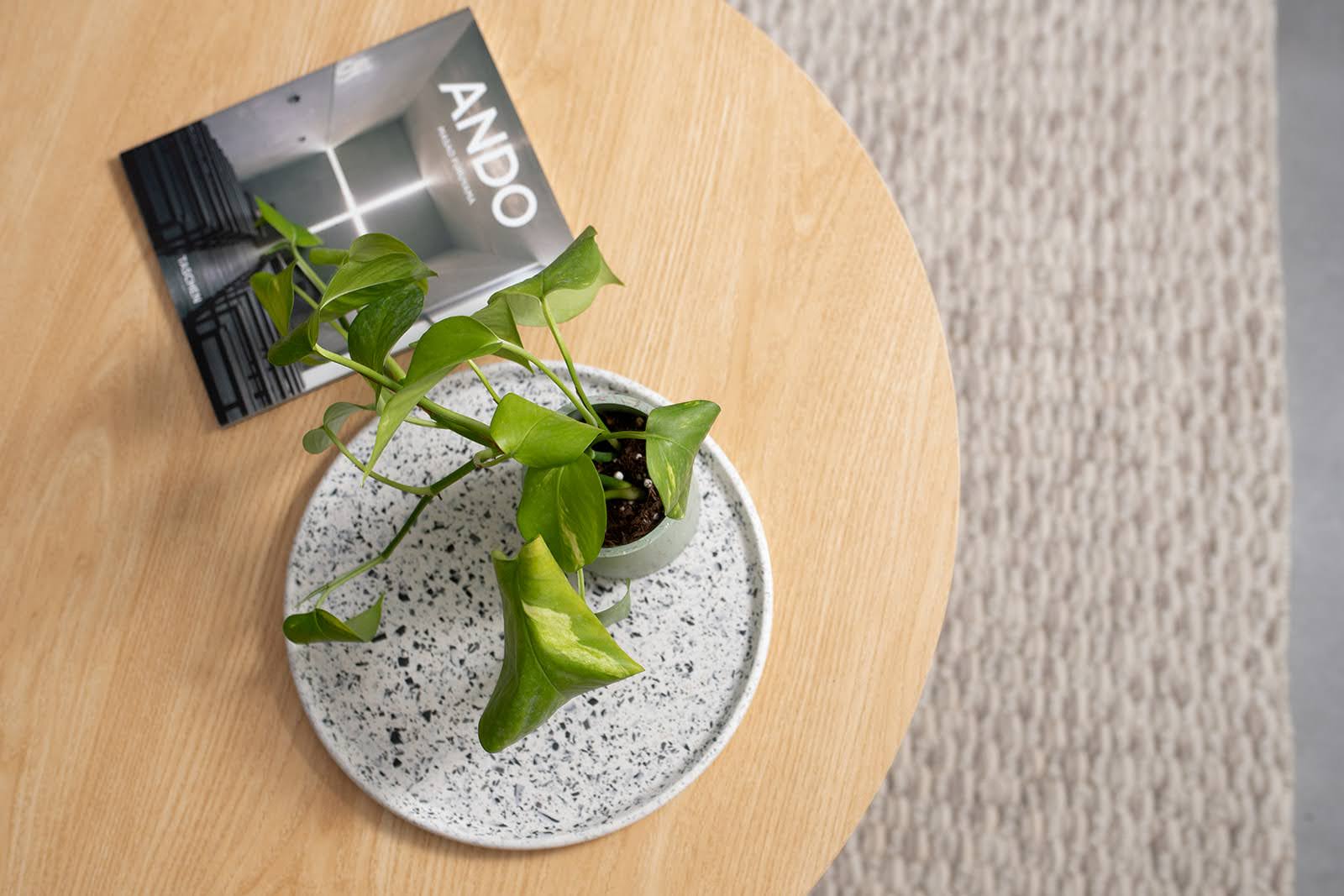 בית פרטי ראשון לציון